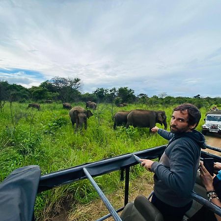 Minneriya Jeep Safari Habarana Buitenkant foto