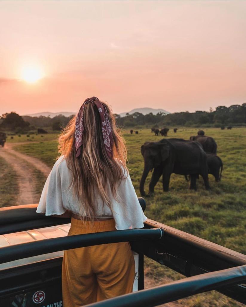 Minneriya Jeep Safari Habarana Buitenkant foto