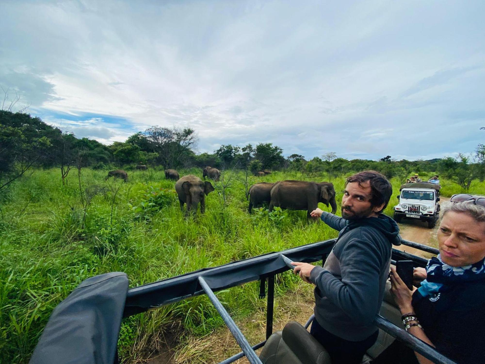 Minneriya Jeep Safari Habarana Buitenkant foto